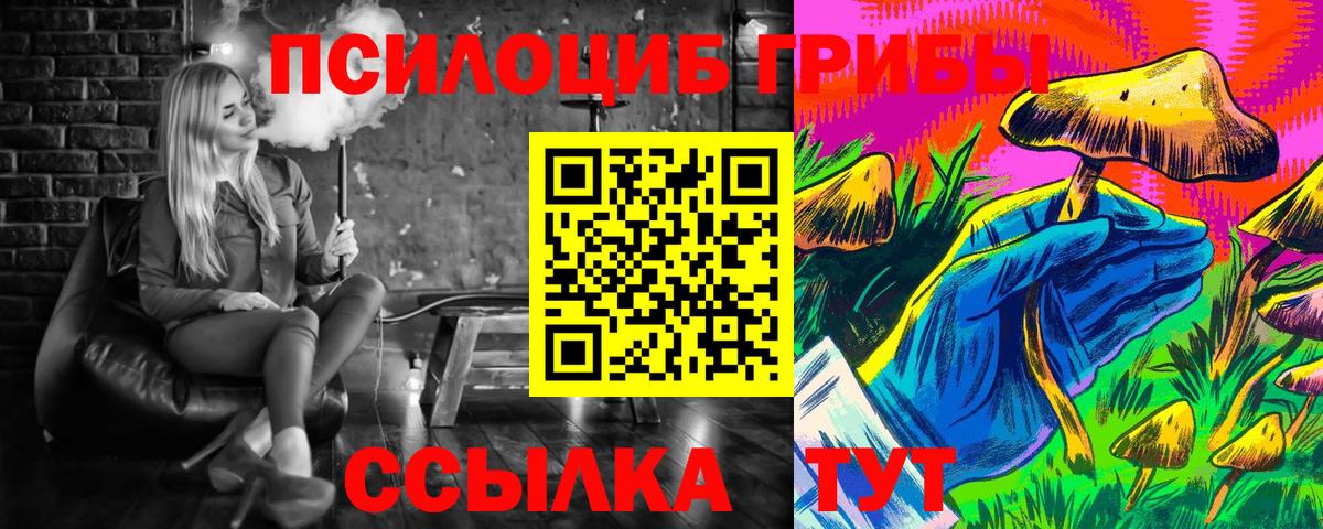 купить закладку  Псилоцибиновые грибы мухоморы  Вход с VPN  Павловский Посад 